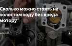Сколько может работать двигатель на холостом ходу без вреда