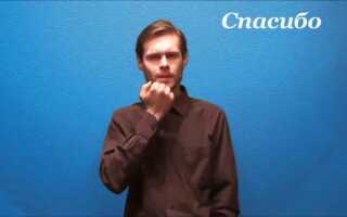 Как сказать спасибо на языке жестов за поездку