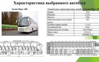 Автобус это какой вид транспорта