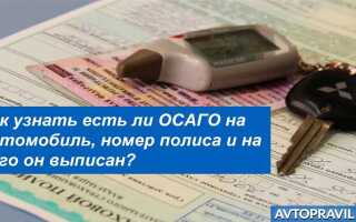 Как узнать где застрахована машина по гос номеру