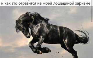 Сколько км в час в одной лошадиной силе
