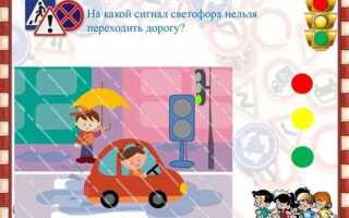 На какой свет светофора надо переходить дорогу пешеходу