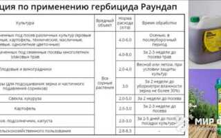 Чем промыть форсунку опрыскиватель после бордосской смеси