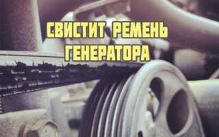 Что свистит при запуске двигателя на холодную