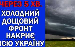 Какая погода на 3 дня