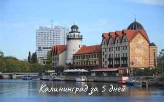 Как сейчас попасть в калининград