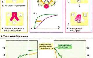 Что такое ингибитор в машине