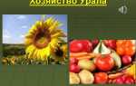 Сколько уралов производят в год