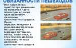 Как должны двигаться пешеходы ведущие велосипед