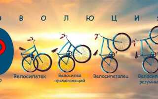 Как узнать год выпуска велосипеда