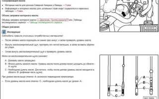 Как правильно проверить уровень масла в двигателе зимой