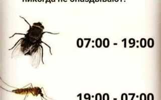 Какой режим стоит на жуже
