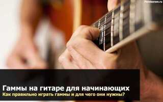 Преамп для гитары что это