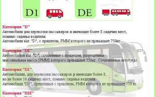 Со скольки можно получить категорию д