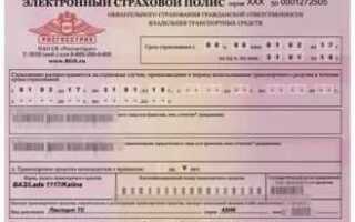 Как распечатать страховку на машину