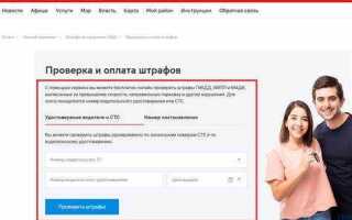 Как узнать штрафы по фамилии граждан снг