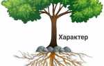 Как по автомобилю определить характер человека