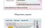 Когда начнут выдавать водительское удостоверение нового образца