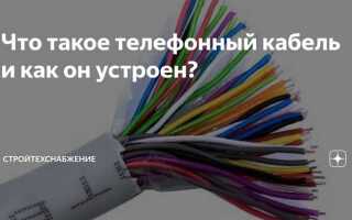 Сколько жил в телефонном проводе