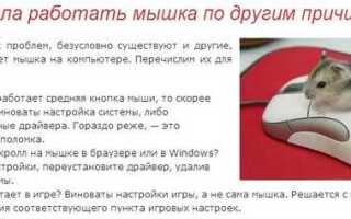 Почему плохо работает беспроводная мышь и как это исправить