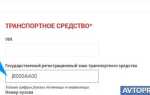 Как узнать свой номер полиса осаго