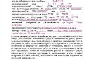 Кем выдана доверенность что писать на госуслугах