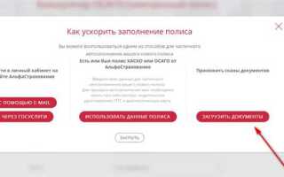 Как расторгнуть договор осаго альфастрахование онлайн