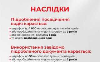 Какое наказание за купленные права