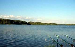 Озернинское водохранилище или рузское где лучше