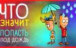 Что означает 90 процентов дождя