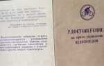 Как восстановить документы на велосипед