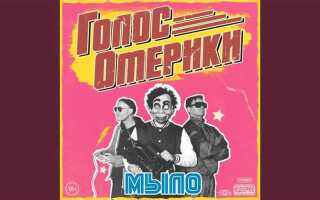 За сколько выветривается балтика 9