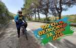 Сколько надо проехать на велосипеде вместо 10000 шагов