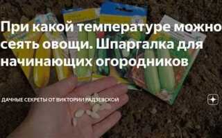 При какой температуре можно замерзнуть