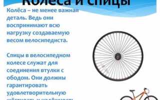 Что такое монетки у велосипеда