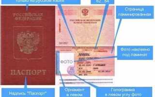 Код подразделения гибдд в стс что это