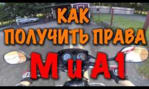 Категория м и м1 что они обозначают