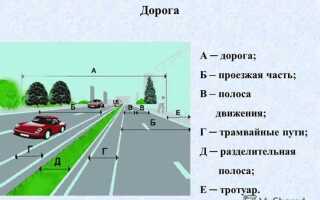 Сколько проезжих частей имеет дорога