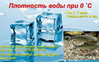 У чего плотность больше у воды или у бензина