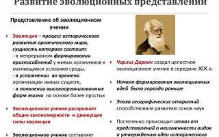 Волю как главный принцип жизни и познания рассматривал