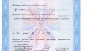 Как узнать серию и номер лицензии автошколы