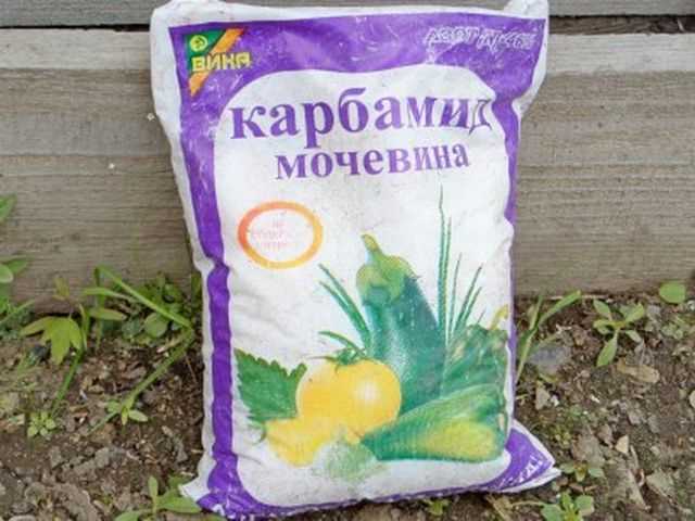 Как применяется мочевина Евро 6?