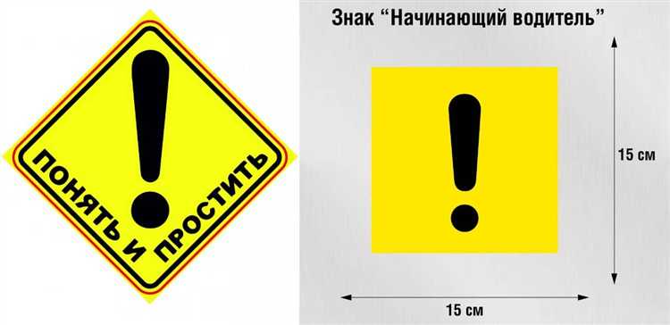 Правила размещения и материалы для наклейки с ящерицей