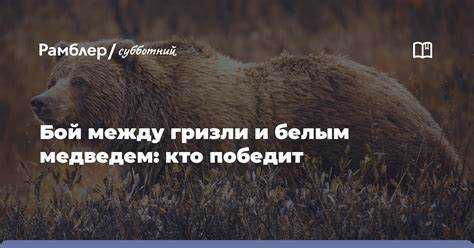 Как реклама rbt с медведем соотносится с целевой аудиторией