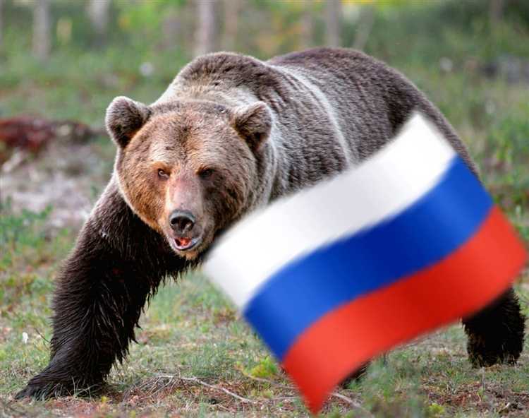 Как реклама с медведем формирует эмоциональную привязку к бренду