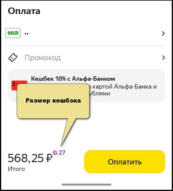 Подключение и настройка способа оплаты баллами в приложении