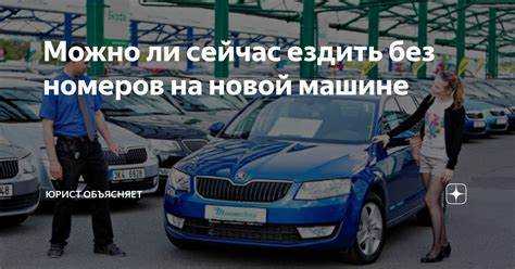 Как утилизировать автомобиль без автомобиля и без документов