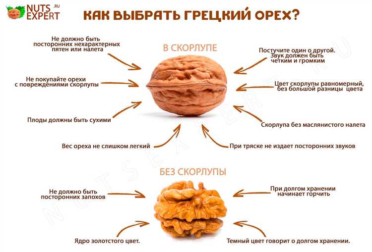 Как определить спелость грецкого ореха по внешнему виду скорлупы