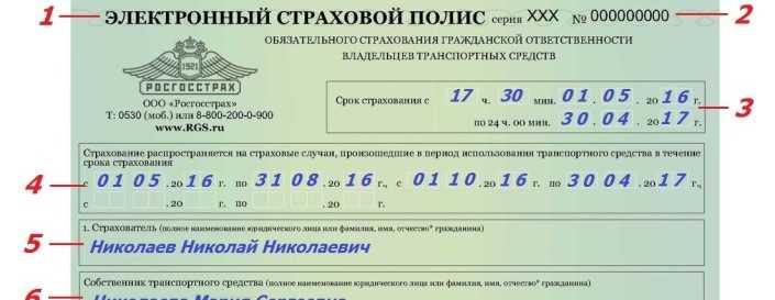 Как выглядит структура электронного полиса: страницы, разделы и поля