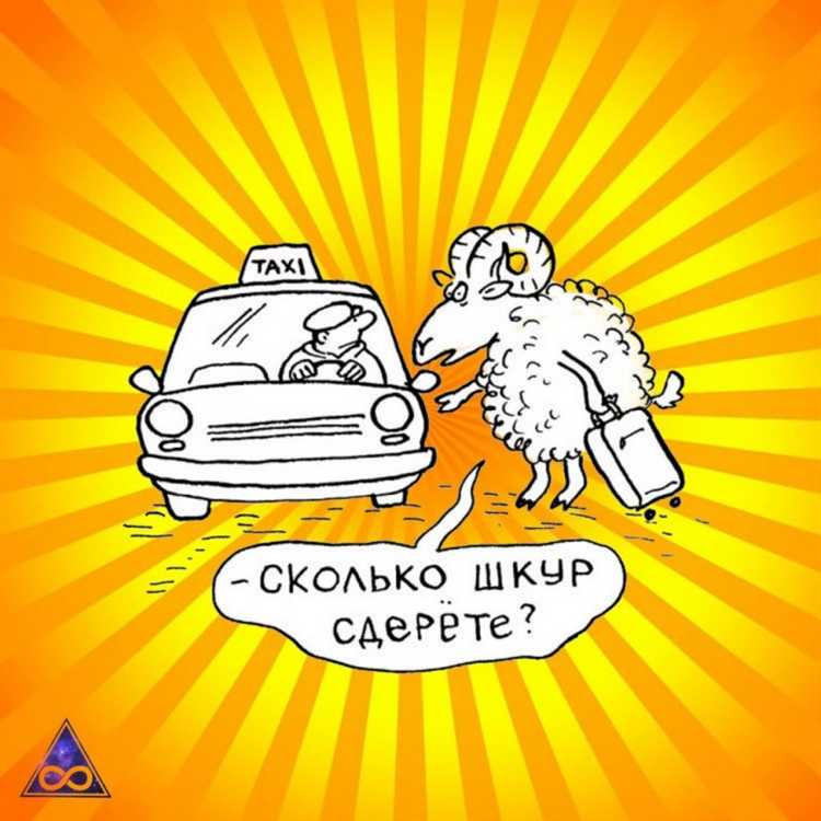 Как мадишники взаимодействуют с клиентами и таксистами